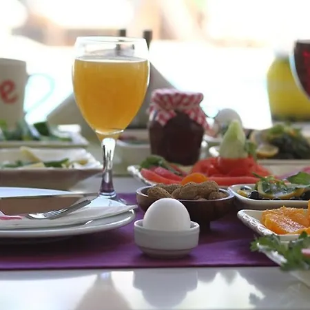 Ege Tulip מלון 4*